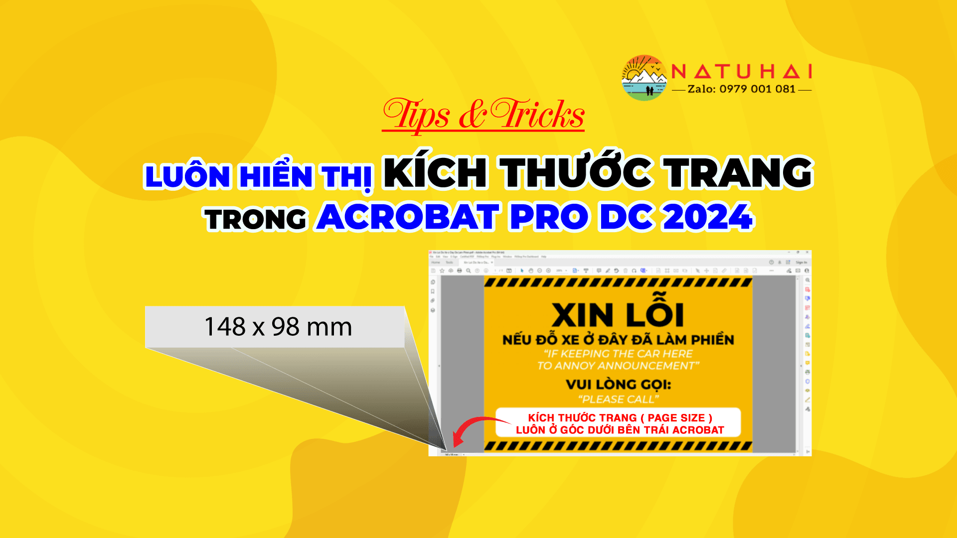Luôn Hiển Thị Kích Thước Trang (Page Size) Trong Acrobat Pro DC