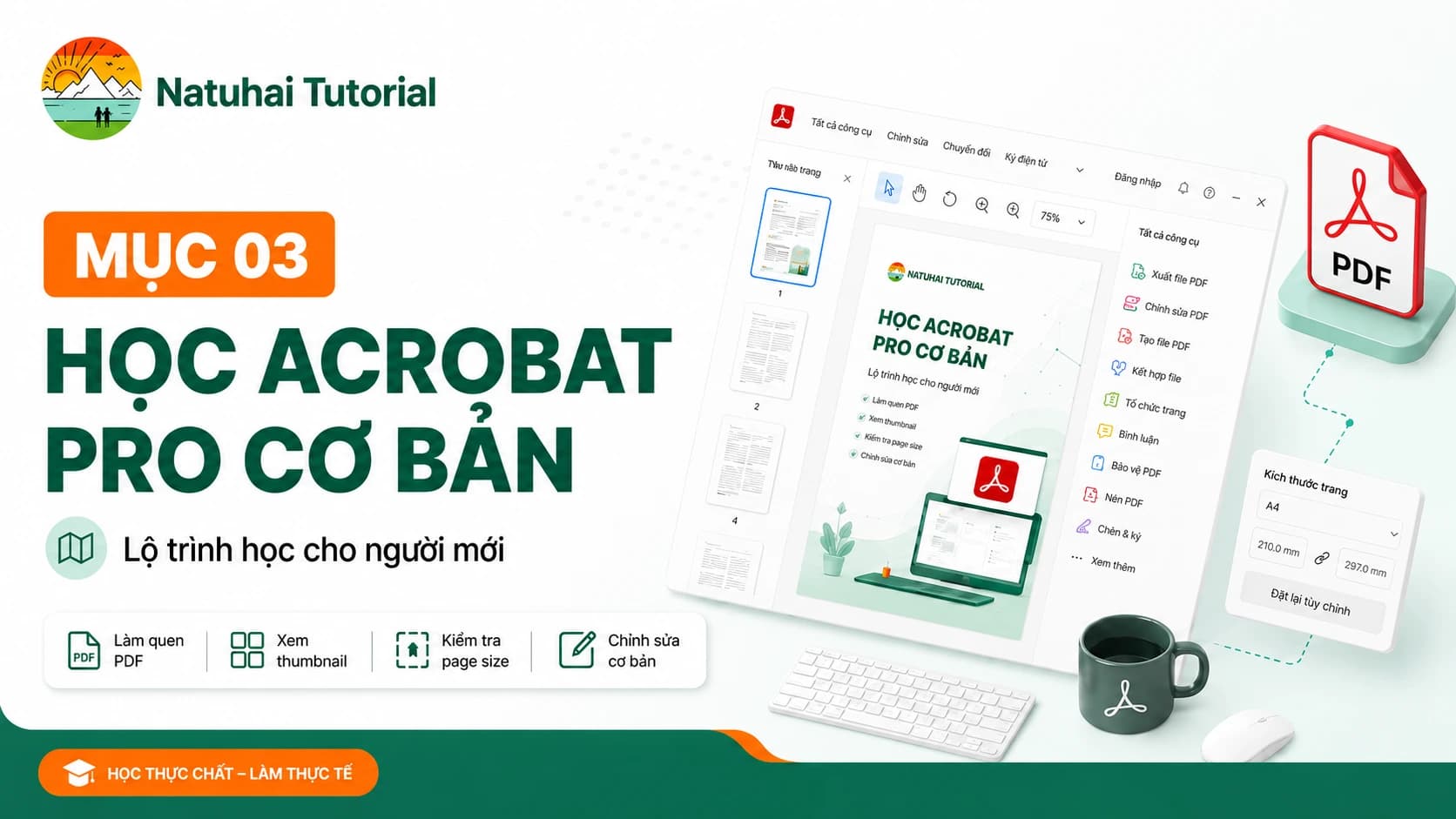Học Acrobat Pro cơ bản