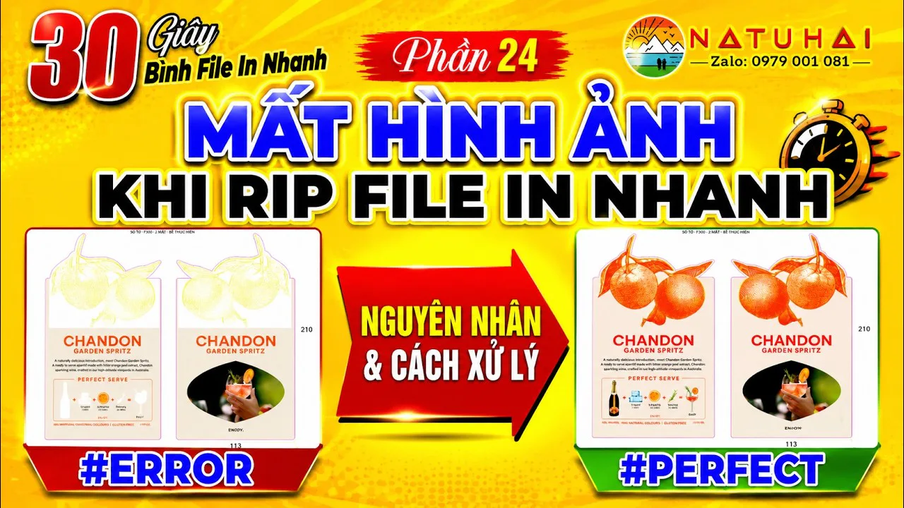 Lỗi Mất Hình Ảnh Khi RIP File Vào Máy In Konica Minolta