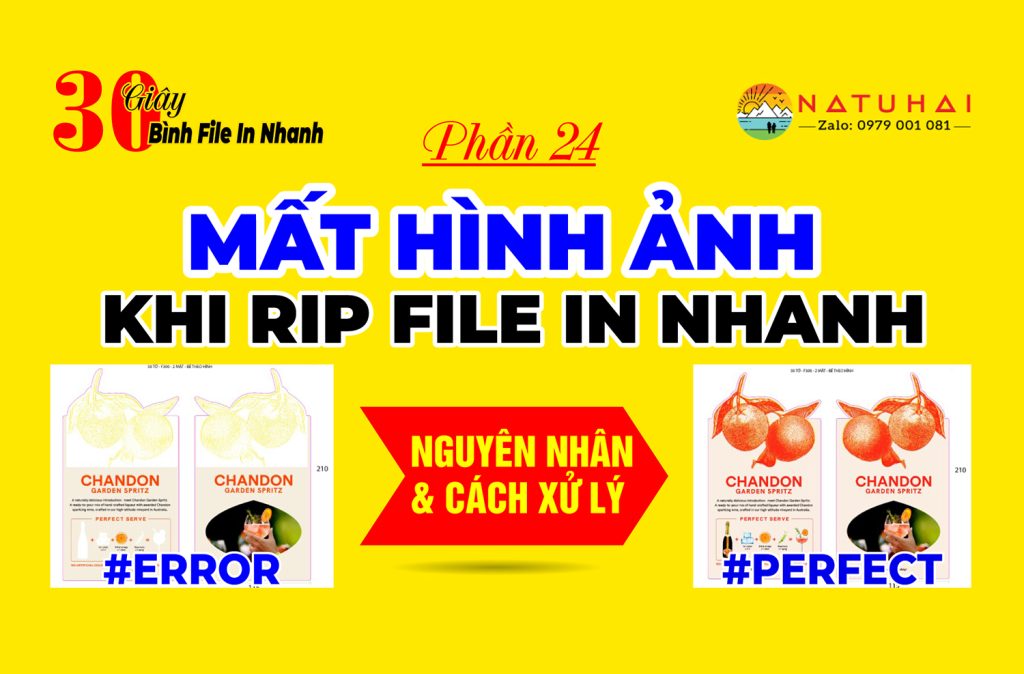 Lỗi Mất Hình Ảnh Khi RIP File Vào Máy In Konica Minolta